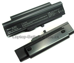 batterie pour Sony vgp-bps5